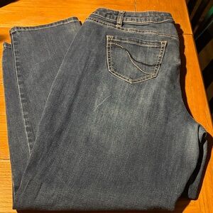 Lane Bryant Indigo Straight Leg Jeans